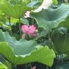春暖花开