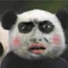 垃圾佬中老司机