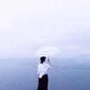 枫林听雨
