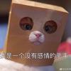 木目小姐