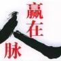 福建鑫牌（来宝丸）滤材供应链