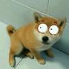 StarkChan