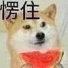 玩桌游的tomtomas