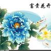 富贵花开2873