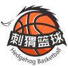 刺猬篮球