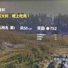 吃鸡🐔带飞