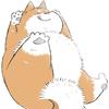 球球猪猪
