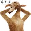 7哥