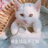 优秀小段ɜ（努力不放炮版