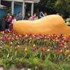 坤哥666