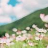 @韩溏韩语