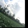 清风不识月