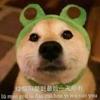 A.守护这希望
