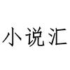 小说汇