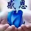 莲花
