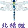 溪雨妈妈在北漂