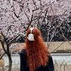 Aliya。