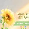 快乐🌼置顶🔝