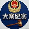 大案纪实