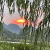 阿萍回村