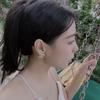 虫子🐛