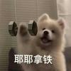 小🐰烤不烤面包