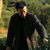 说茶的老肖(橱窗精选)