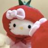 Kitty追剧