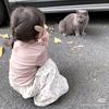 萌娃安全说