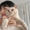 小盐巴
