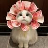 小猫不睡觉