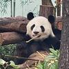 惠州海妮看房