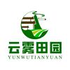 云雾田园