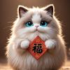 ✨成都眼哥猫舍
