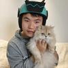 森屿家的猫（跑外卖版）
