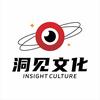 洞见文化