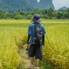 小余同学的旅行日记