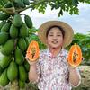 荔源春农业