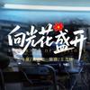 电影向光花盛开