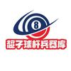 杭州乐鼎台球器材超子