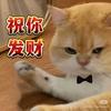 乐姐今天拍什么