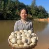 鲁菏隆亿三妹家农场
