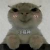 小猫神（扶贫王）