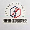 解说员阿爆-B