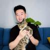 不叁养猫