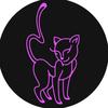 Kitty Kompound网课教学