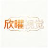 欣曜视觉动画设计工作室