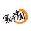 寰行中国