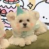 福波多🐶