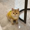 她是“石榴”㖿🐈